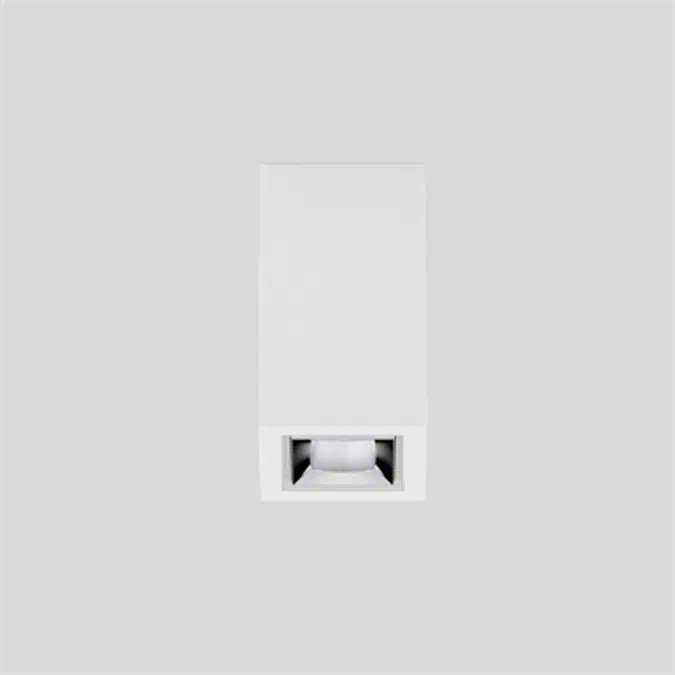 UNICO Q1 basic ceiling