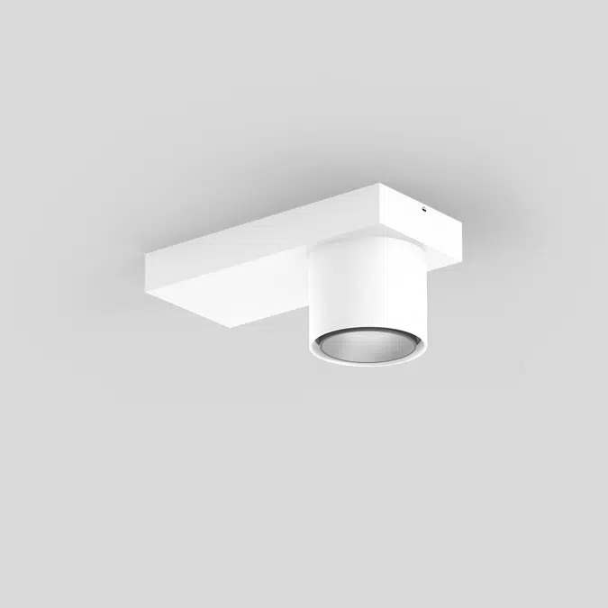 SASSO 60 base ceiling round adjustable 1 lamp