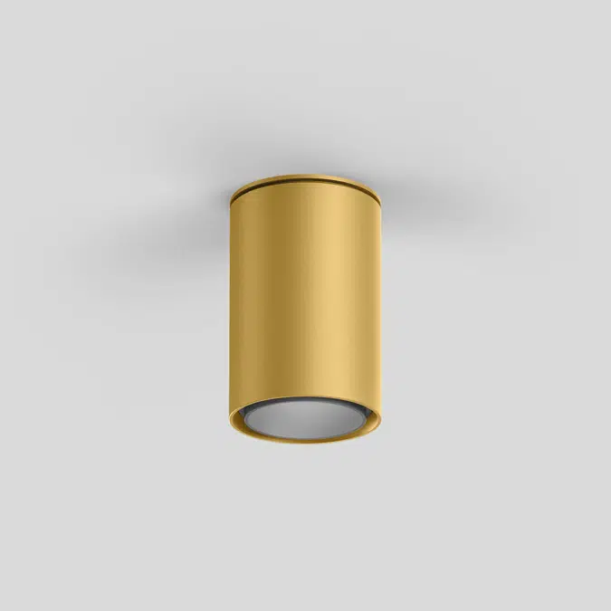 SASSO 60 round ceiling adjustable