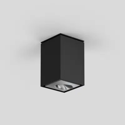 Obrázek pro SASSO 60 square ceiling wallwasher floor