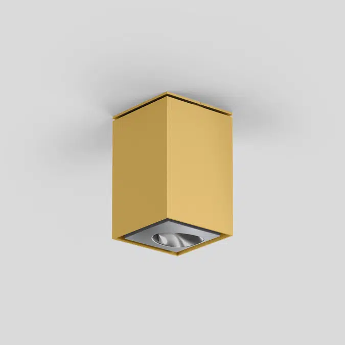 SASSO 60 square ceiling wallwasher floor
