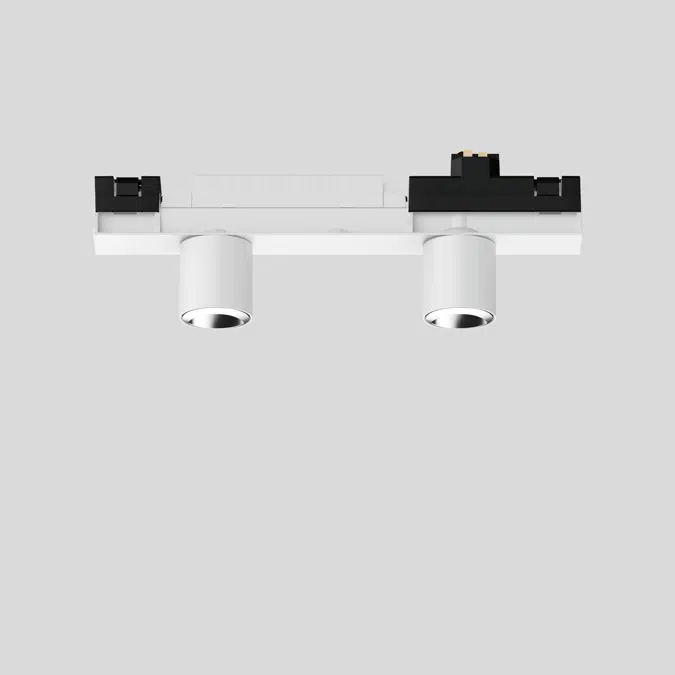 SASSO 40 wallwasher floor PROFILES 40 2 lamps