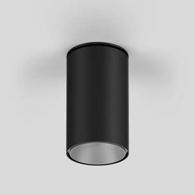 Immagine per SASSO 100 round ceiling adjustable