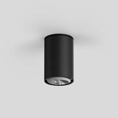 afbeelding voor SASSO 60 round ceiling wallwasher floor