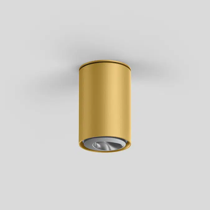 SASSO 60 round ceiling wallwasher floor