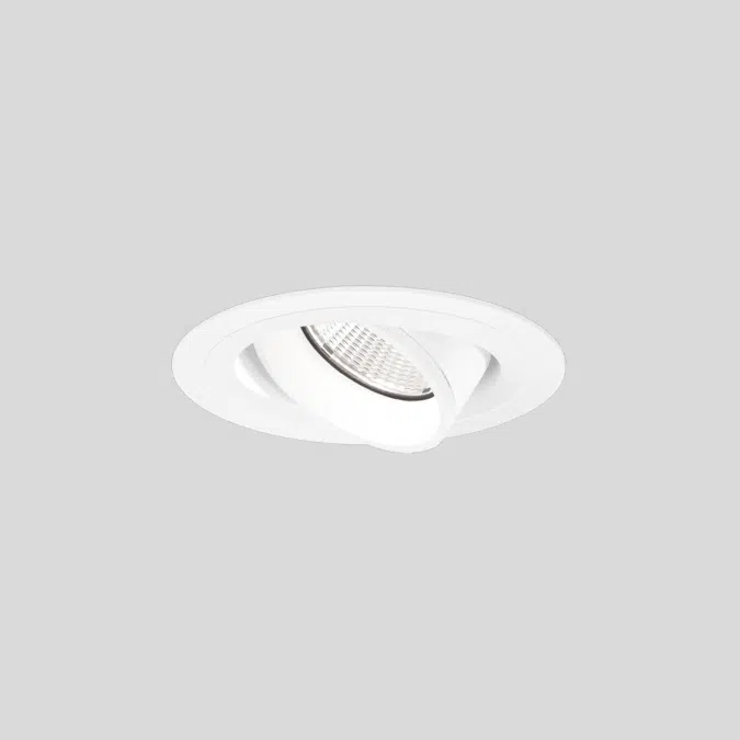 SASSO PRO 80 spotlight adjustable flush trim round