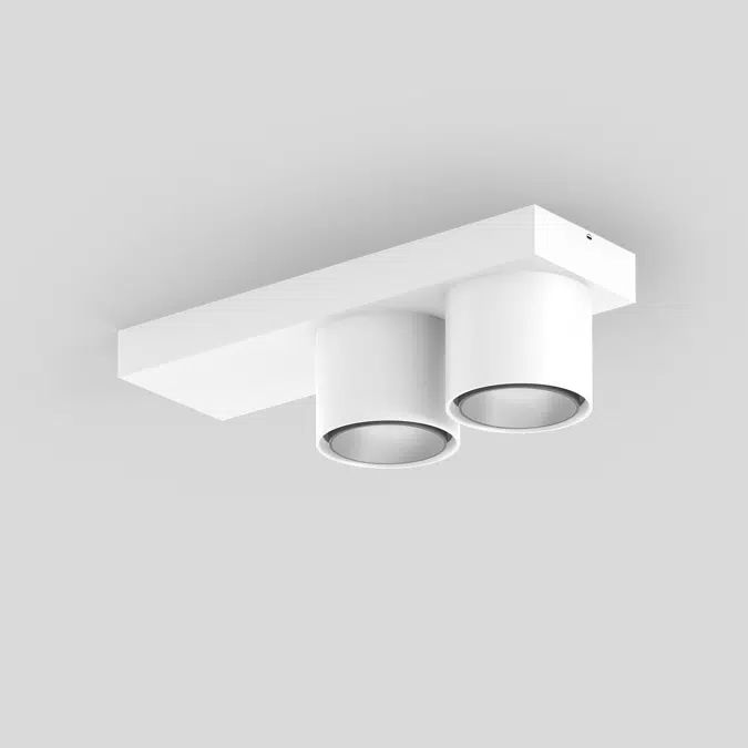 SASSO 60 base ceiling round adjustable 2 lamps