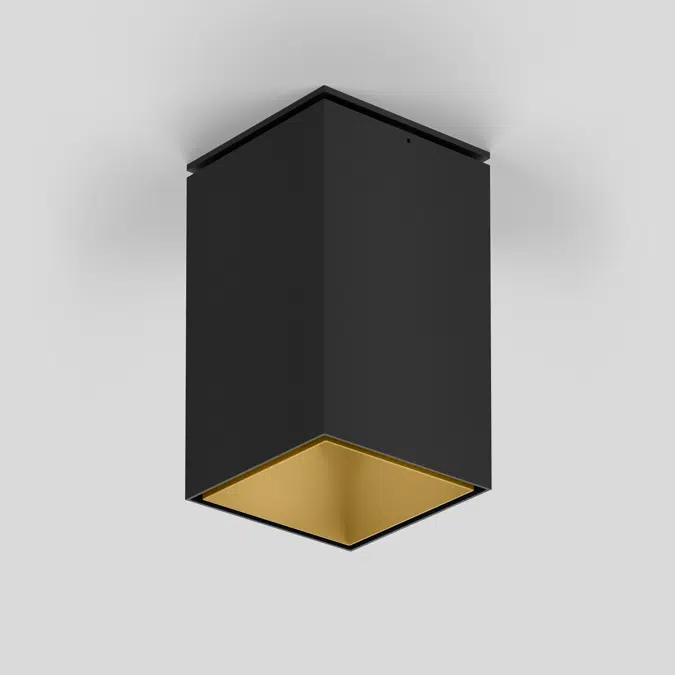 SASSO 100 square adjustable ceiling