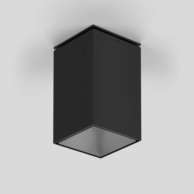 SASSO 100 square adjustable ceiling