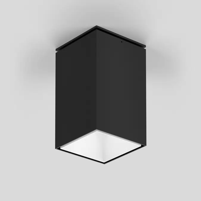 SASSO 100 square adjustable ceiling