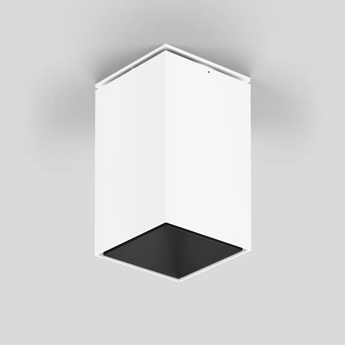 SASSO 100 square adjustable ceiling