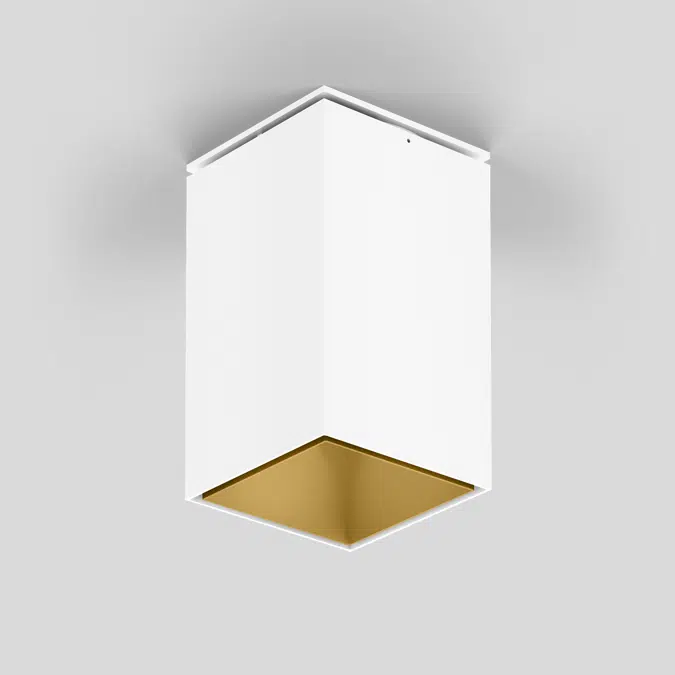 SASSO 100 square adjustable ceiling