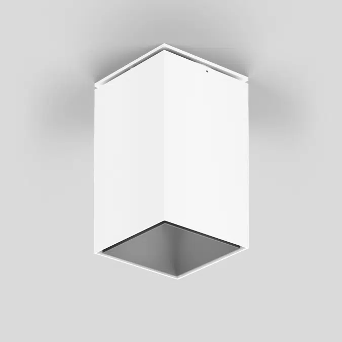 SASSO 100 square adjustable ceiling