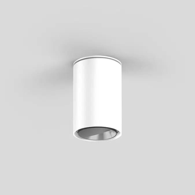 SASSO 60 round ceiling wallwasher