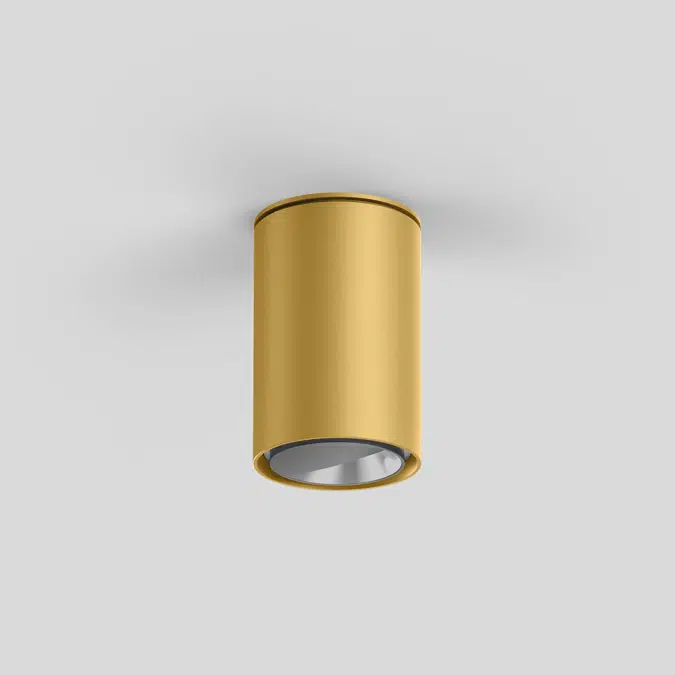 SASSO 60 round ceiling wallwasher