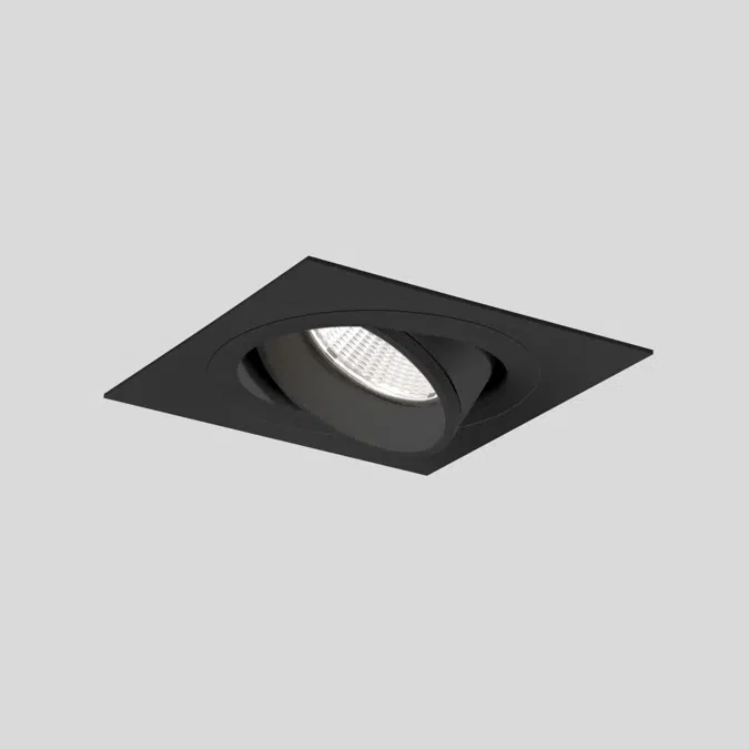 SASSO PRO 80 spotlight adjustable flush trim square