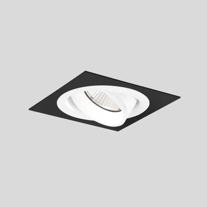 SASSO PRO 80 spotlight adjustable flush trim square