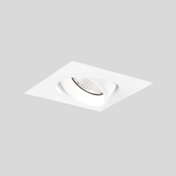SASSO PRO 80 spotlight adjustable flush trim square