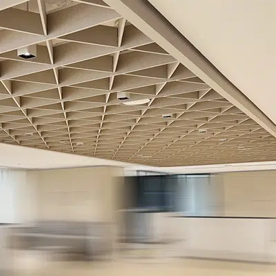 Image pour Feltech Acoustic Ceiling Acoupanel AcouGrid Array