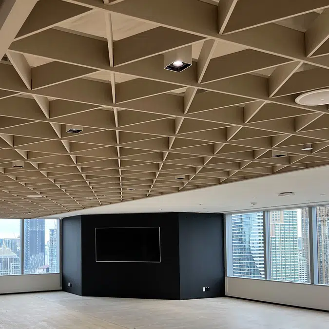 Feltech Acoustic Ceiling Acoupanel AcouGrid Array