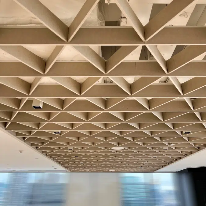 Feltech Acoustic Ceiling Acoupanel AcouGrid Array