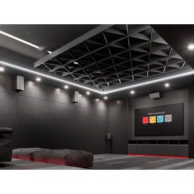 Image for FELTECH COLLECTION 11 (Home Theater)