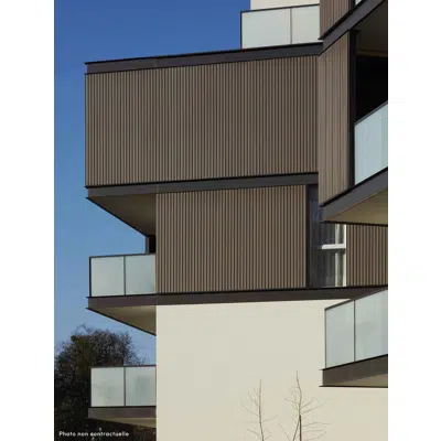 Cladding LINK - wood fibers图像