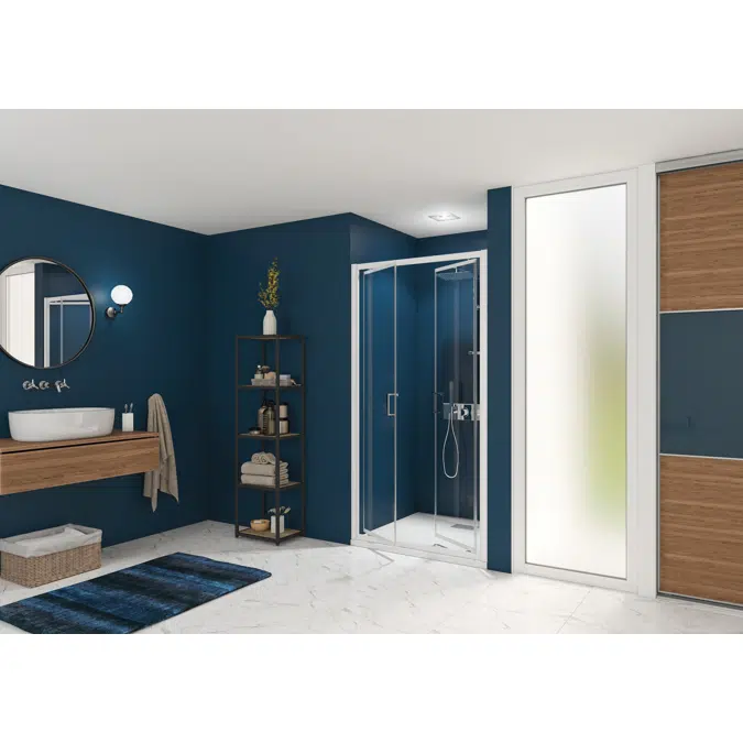 Smart Express 2P - Shower door