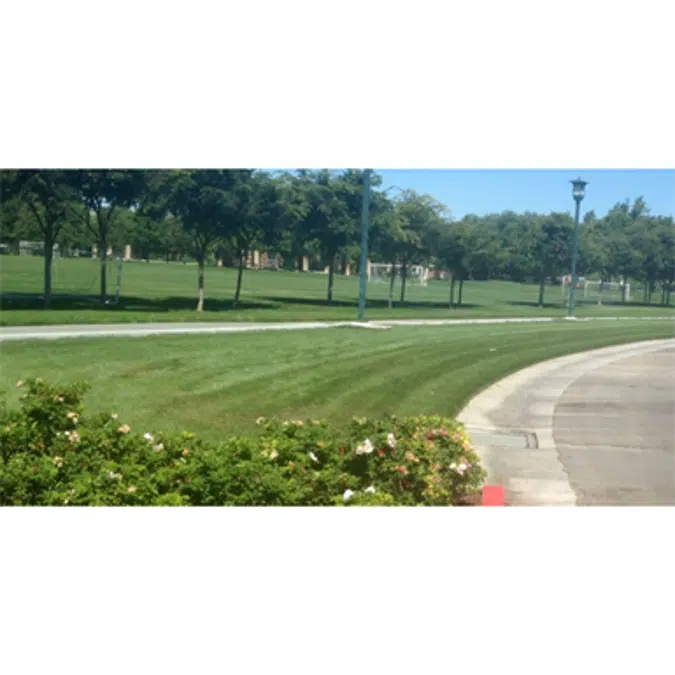 Grasspave2 / Grass Paver / Porous Pavement / Permeable Pavers