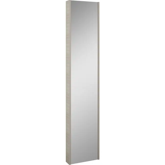 Ariella Mirror tall cabinet