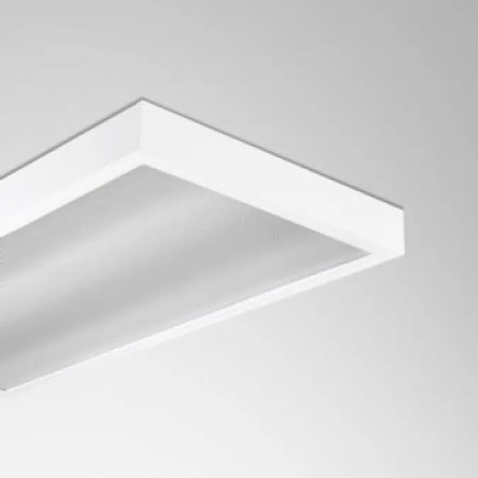 L&E LED SURFACE FLUORESCENT LSSTP600-2S