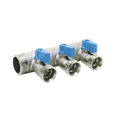 Image for 203C - MODULAR MANIFOLD WITH BALL VALVES