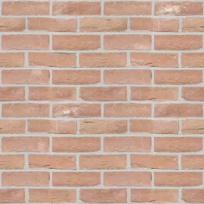 Image for Genesis 510 - Facing Bricks and Brick-slips