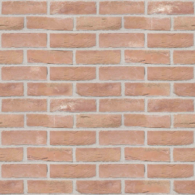 Image for Genesis 510 - Facing Bricks and Brick-slips