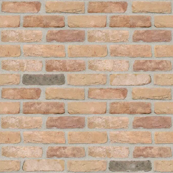 Genesis 420 - Facing Bricks and Brick-slips