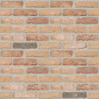 Image for Genesis 420 - Facing Bricks and Brick-slips