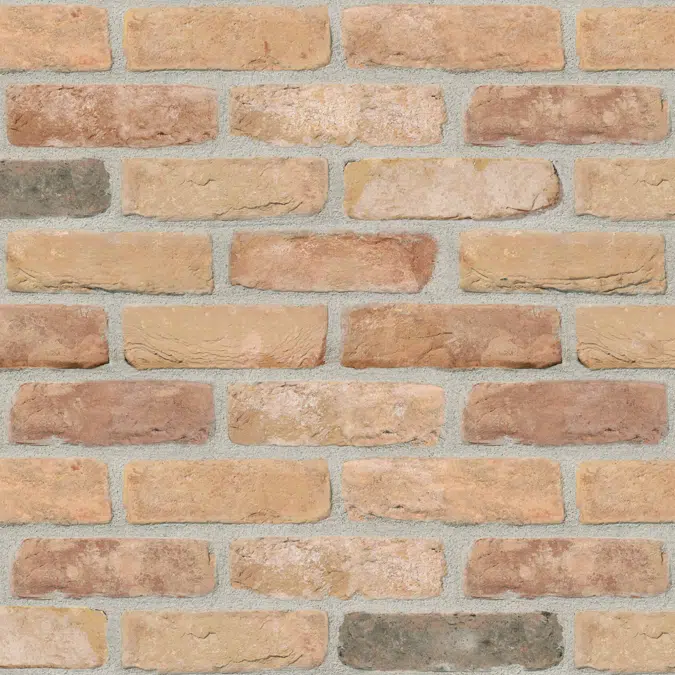 Genesis 420 - Facing Bricks and Brick-slips