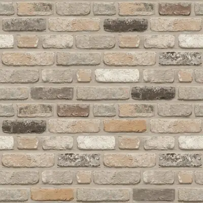 imagem para Genesis 700 - Facing Bricks and Brick-slips