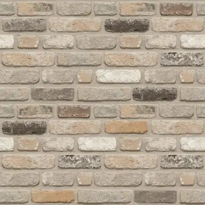 Genesis 700 - Facing Bricks and Brick-slips图像