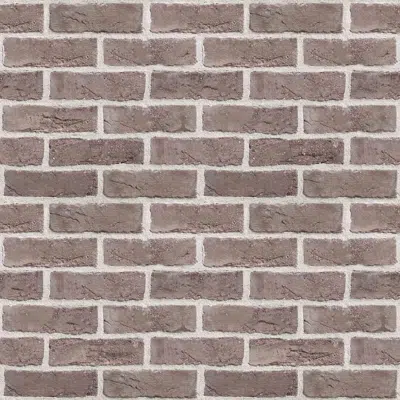 Image for Genesis 300 - Facing Bricks and Brick-slips