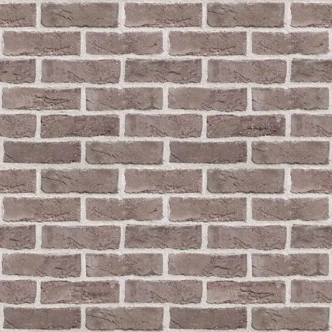 Genesis 300 - Facing Bricks and Brick-slips