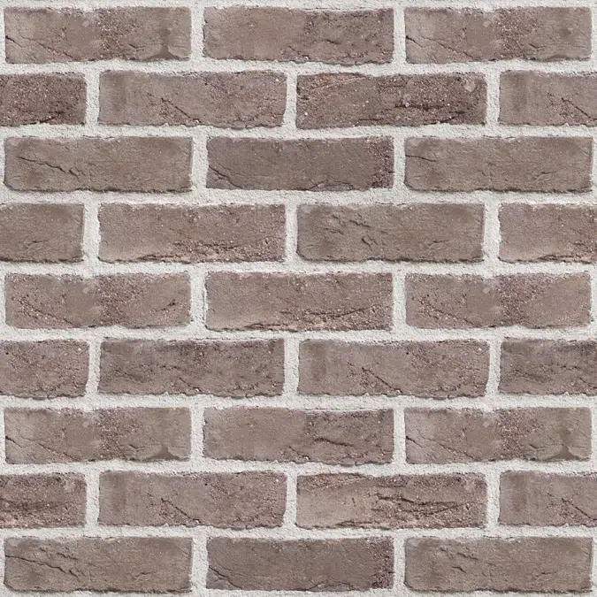 Genesis 300 - Facing Bricks and Brick-slips