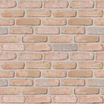 Image for Genesis 215 - Facing Bricks and Brick-slips