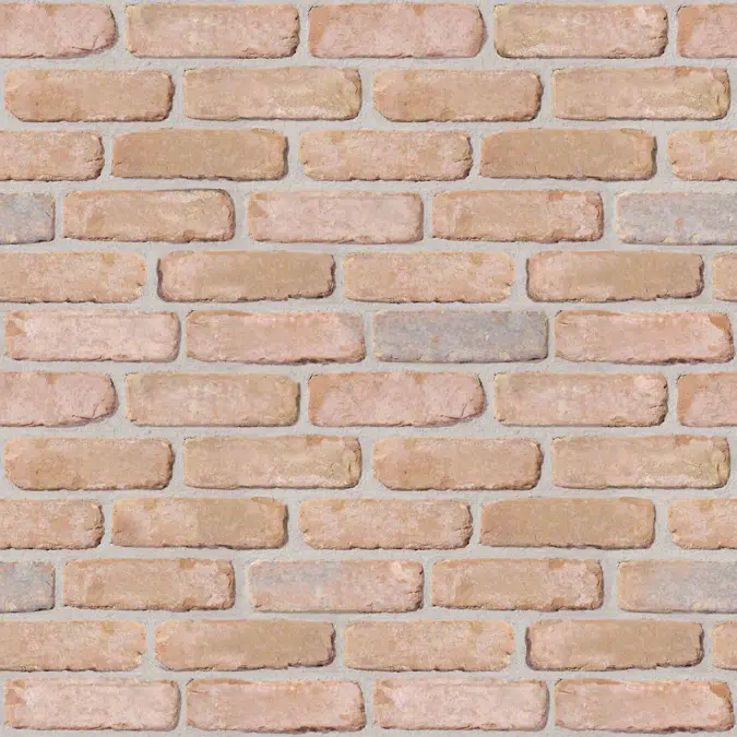 Genesis 215 - Facing Bricks and Brick-slips