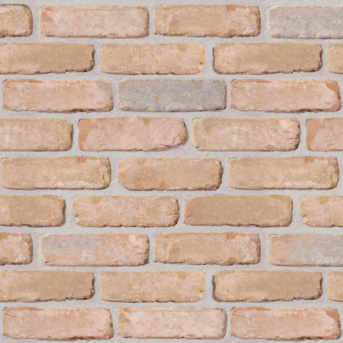 Genesis 215 - Facing Bricks and Brick-slips