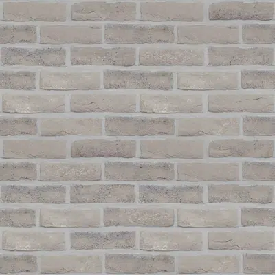 Image for Genesis 500 - Facing Bricks and Brick-slips