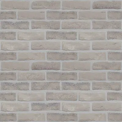 画像 Genesis 500 - Facing Bricks and Brick-slips