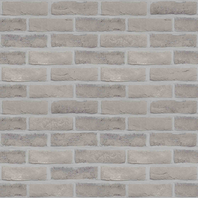 Image for Genesis 500 - Facing Bricks and Brick-slips