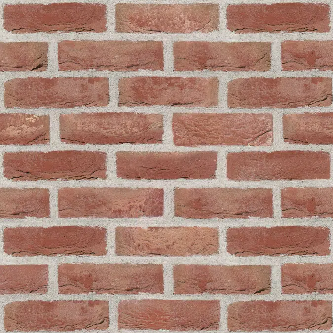 Genesis 620 - Facing Bricks and Brick-slips