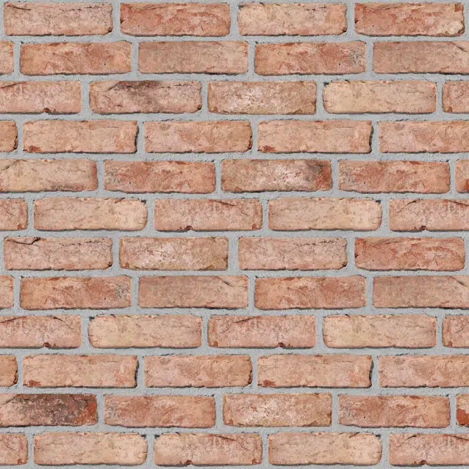 Genesis 002 - Facing Bricks and Brick-slips